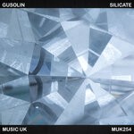 cover: Gusolin - Silicate