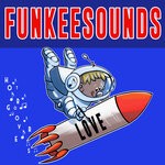 cover: Funkeesounds - Love