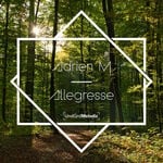 cover: Adrien M - Allegresse