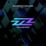 cover: Cane&daywalker - Feel It