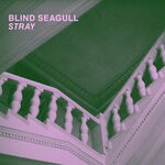 cover: Blind Seagull - Stray