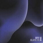 cover: Twelwe - SRY / Blame Me