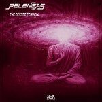 cover: Pelengas - The Desire To Know (Original Mix)