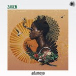 cover: Zakem - Adameyo