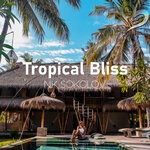 cover: Nik Sokolov - Tropical Bliss