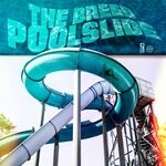 cover: The Breed - Poolslide