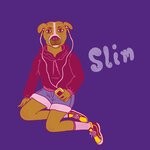 cover: Slim. - Night Bus