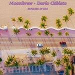 cover: Moonbrew|Dario Cabisto - Direct Flight