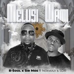 cover: B-soul|Sdr|Sir Mos Feat Nokwazi - Melusi Wami