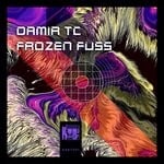 cover: Damir Tc - Frozen Fuss