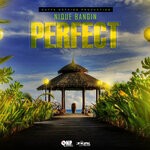 cover: Nique Bangin - Perfect