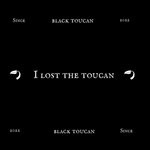 cover: Dvpt - I Lost The Toucan