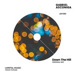 cover: Gabriel Asconiga - Down The Hill