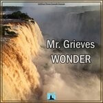 cover: Mr. Grieves - Wonder (Original Mix)