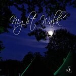 cover: Atif Bashir - Night Walk (Original Mix)