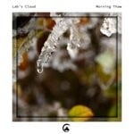 cover: Lab's Cloud - Morning Thaw