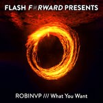 cover: Robinvp - What You Want