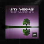 cover: Jay Vegas - The Waters