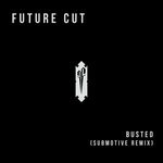 cover: Future Cut - Busted