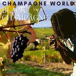 cover: Various - Champagne World. Vol, 2 - Reggae All Star