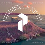 cover: Nico Parga - Summer Of Night