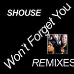 cover: Shouse - Won't Forget You (Kungs Remix)