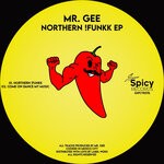 cover: Mr. Gee - Northern !Funkk EP