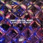 cover: James Curd|Mizbee - Jewels Of The Night