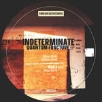 cover: Indeterminate - Quantum Fracture