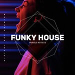 cover: House Anatomy|Ophelie Mercury|Stefano Sorge - Funky House