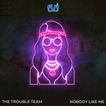 cover: The Trouble Team - Nobody Like Me