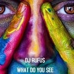 cover: Dj Rufus - What Do You See