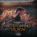 cover: Partybooze - No Stopping Us Now