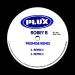 cover: Robey B - Promise (Remix)