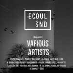 cover: Various - Ecoul Snd V.a 1