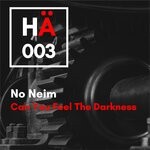 cover: No Neim - Can You Feel The Darkness