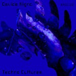 cover: Davide Nigro - Techno Culturae