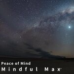 cover: Mindful Max - Peace Of Mind