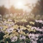 cover: Night Sky - Joyful