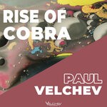 cover: Paul Velchev - Rise Of Cobra