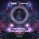 cover: Meis|Sinaptika - Magical Combination