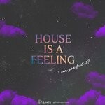 cover: Fine Lines - House Is A Feeling