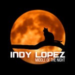 cover: Indy Lopez - Middle Of The Night (Mr. Lopez Deep Mix)