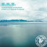 cover: S.r.s - Turquoise Horizon