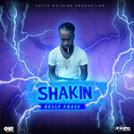 cover: Bully Frass - Shakin