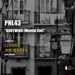 cover: Pnl43 - Bodymind (Mental Cut)