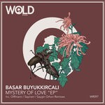 cover: Basar Buyukkircali - Mystery Of Love