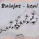 cover: Bninjas - Koni