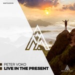 cover: Peter Voko - Live In The Present