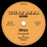 cover: Bninjas - IQ EP